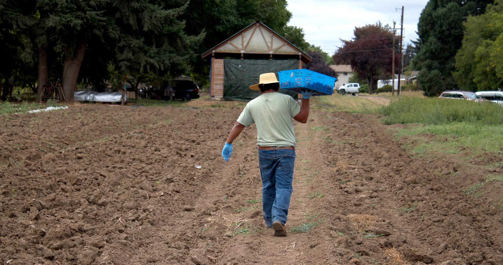Huerto de la Familia organic strawberry farmer