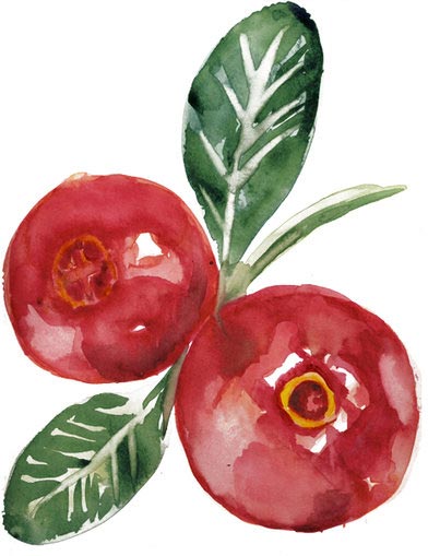 organic cranberries from Oregon
