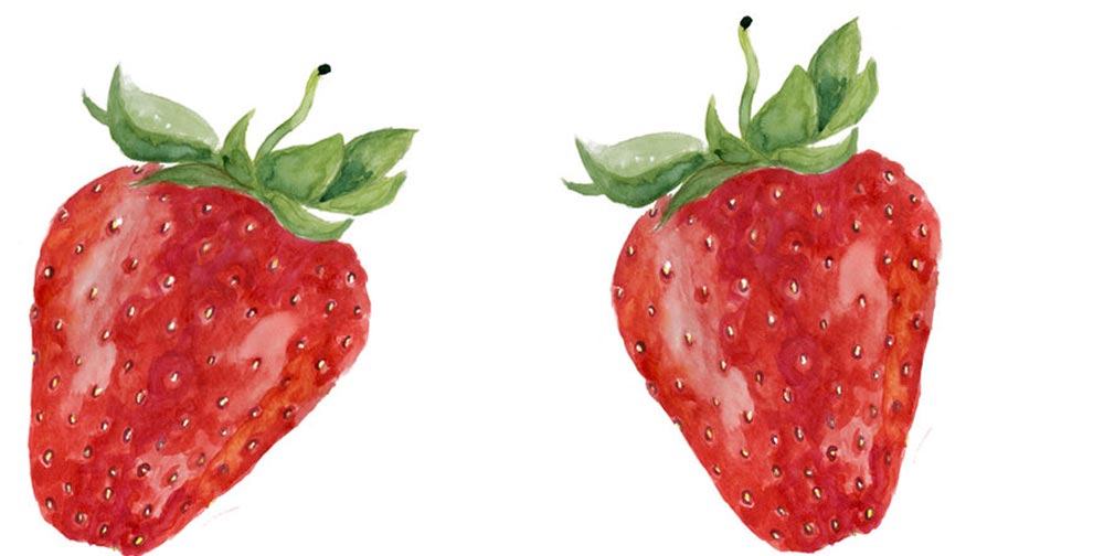 organic strawberries
