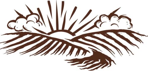 ideas for organic juice and smoothie use